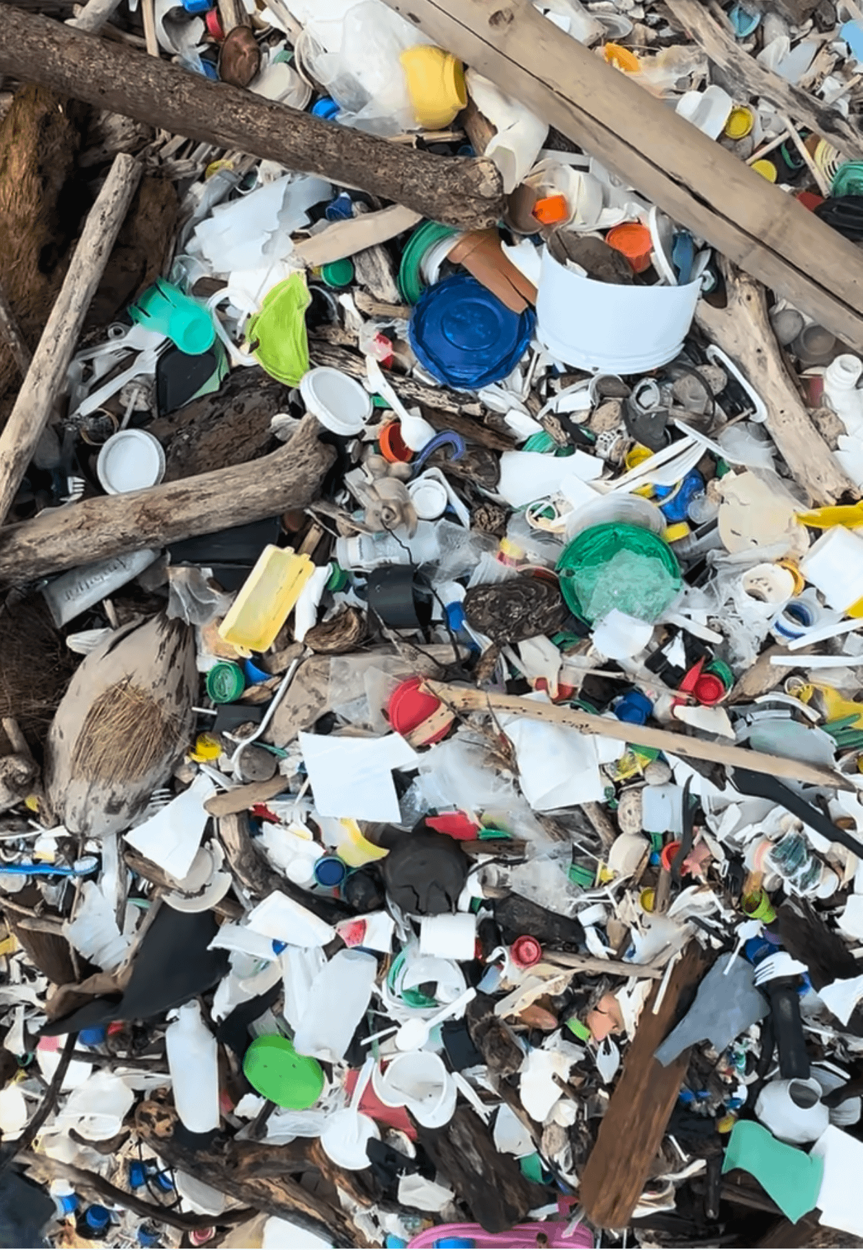 Plastique échoué sur la plage